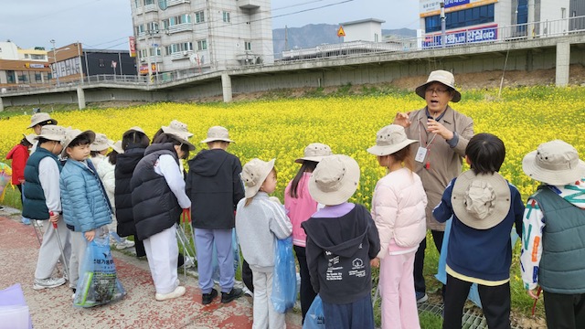 꿀벌 설명